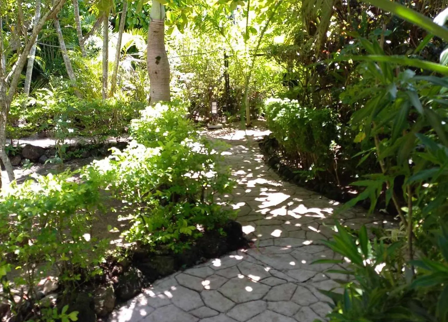 Pension Le Passage Vaitoare  0*, Vaitoare (Tahaa)