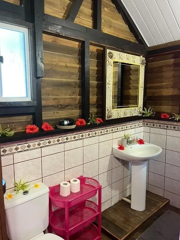 Guest house Pension Le Passage Vaitoare